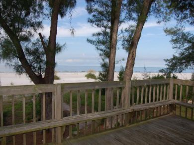 View of the Beach from the Deck